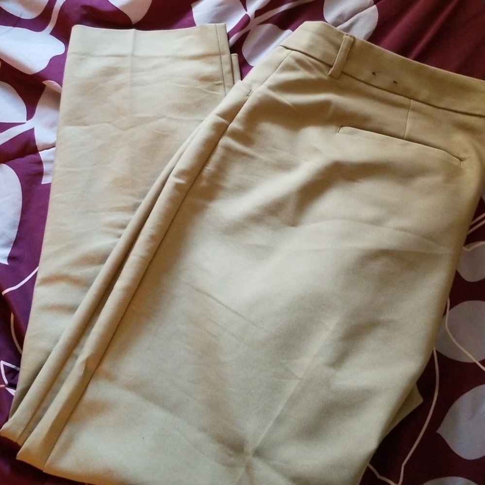 Express ankle pants